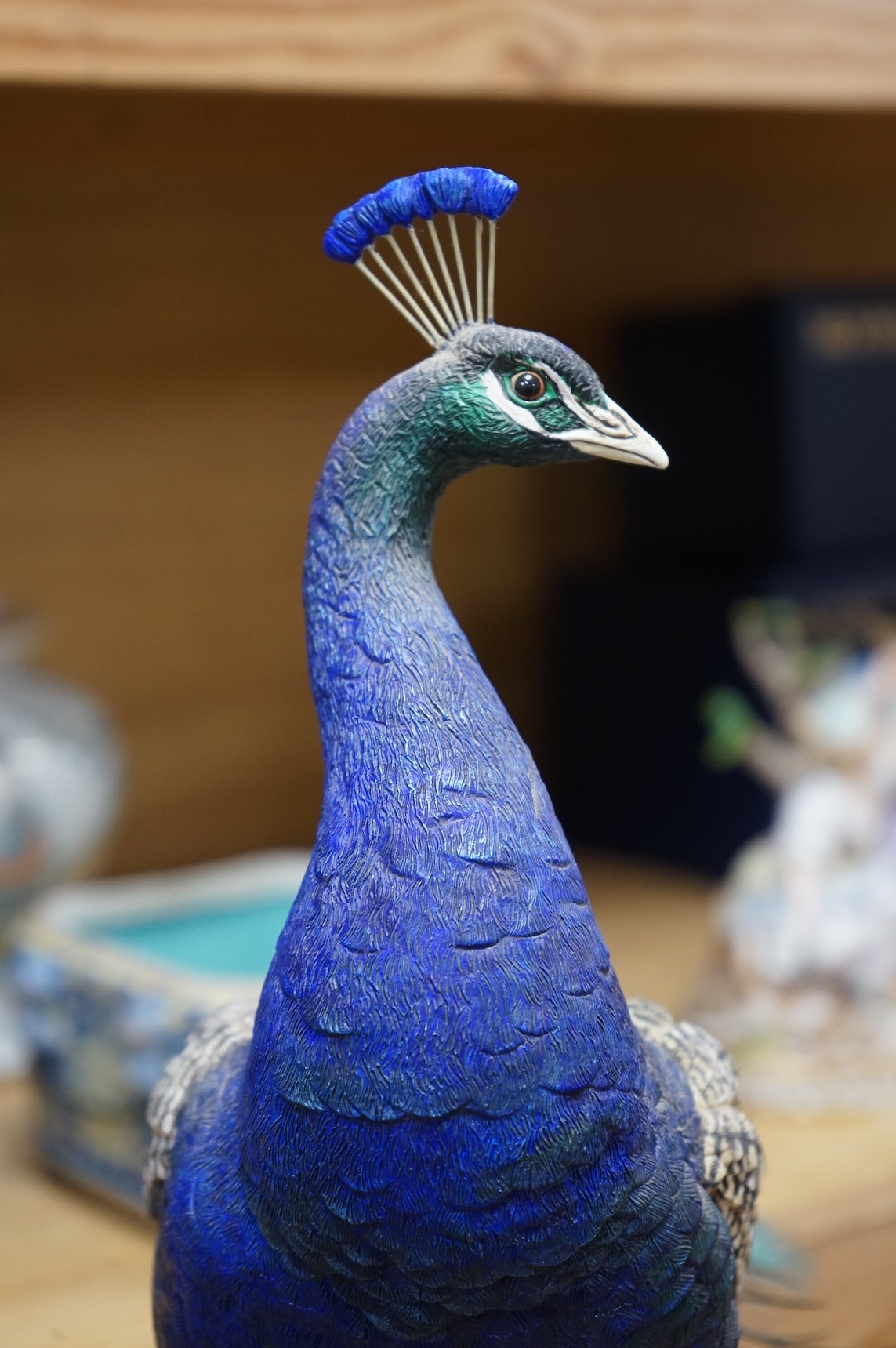 A large Border Fine Arts Regal Splendour Peacock, 77cm
